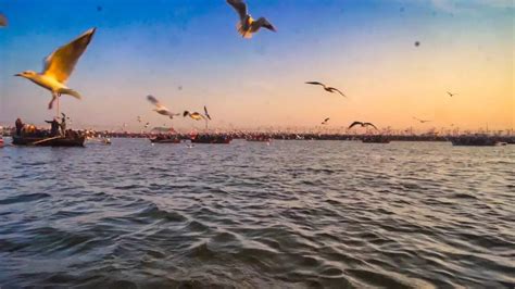 From Aghoris To Akharas: Four Tours At Maha Kumbh Mela For An Immersive ...