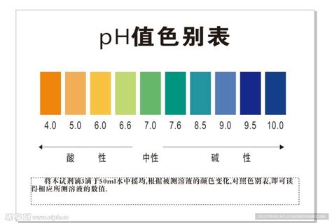 Walch 威露士 衣物消毒液除菌液 1.1L*2瓶 - 京东价格49.9元 包邮 - 网购值值值