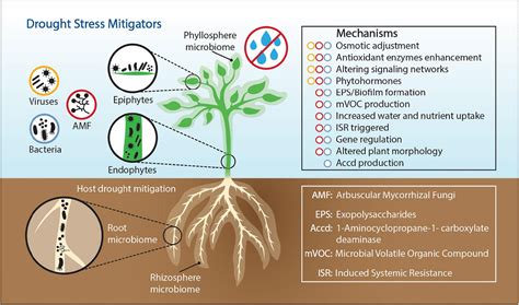Significantly Reduces Pathogens On A Surface
