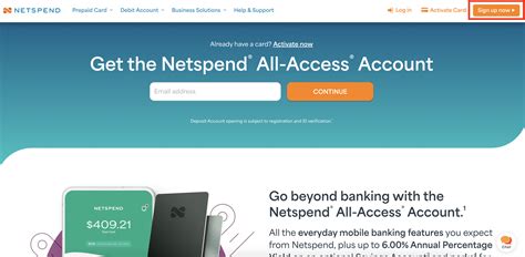 NetSpend Card Balance Check 的图像结果