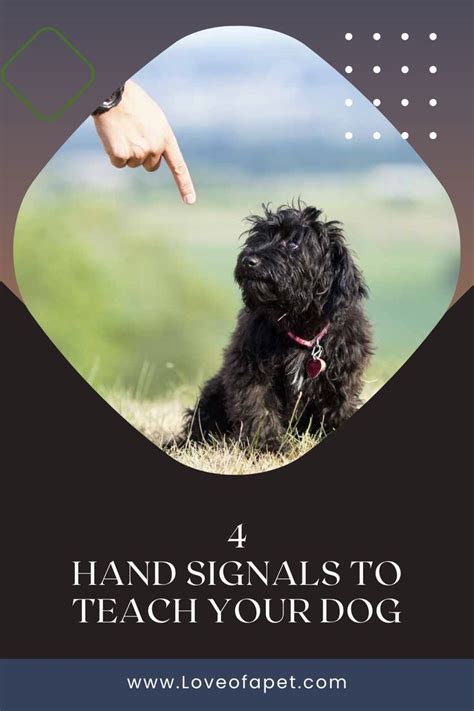 Image result for Common Hand Signals for Dogs Sheet
