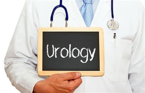What Is Urology? | Atlantic Urology Clinics