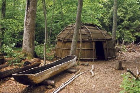 Eastern Woodlands Facts: Explore Nature’s Secrets