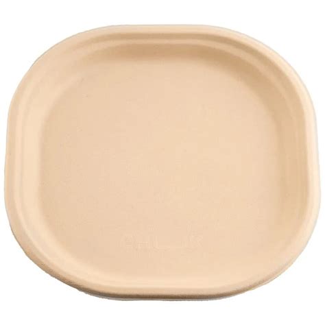 Vissage Made of sugarcane waste Biodegradable Ecofriendly 9IN Square ...