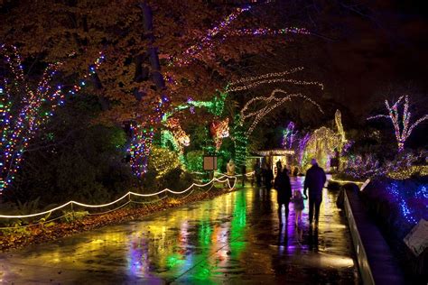 Where to see holiday light displays in Seattle, Bellevue and beyond | The Seattle Times
