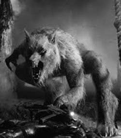 Dogman - The Monsters are Real: Possible Dogman Photograph