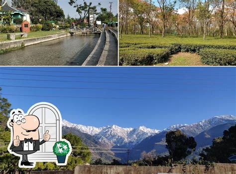 Neugal Cafe, Palampur - Restaurant menu, prices and reviews