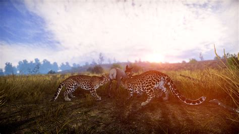 Lightning Fast Game 的图像结果