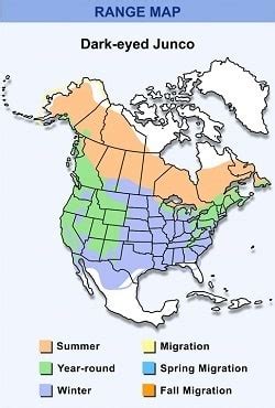 Image result for Beautiful Computer Map
