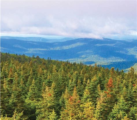 11 Under-the-Radar and Fan-Favorite Hudson Valley Hikes