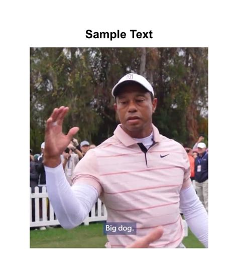 Tiger Woods Big Dog Meme Meme Generator - Piñata Farms - The best meme ...