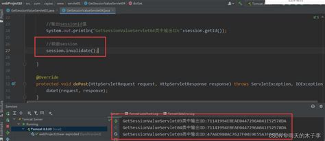 Java Session 的图像结果