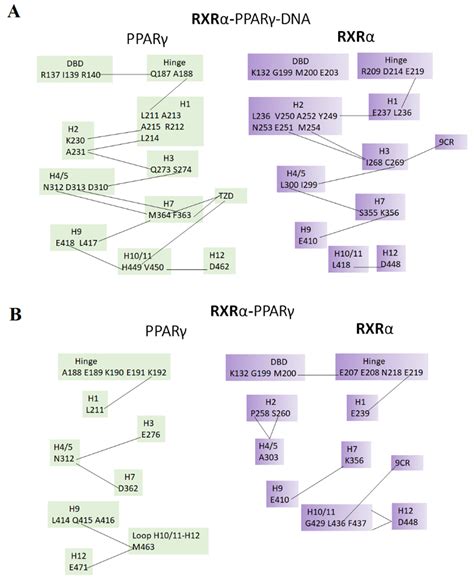 Microsecond MD Simulations to Explore the Structural and Energetic ...