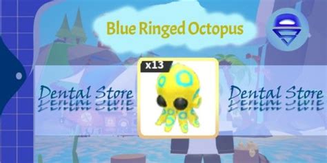 Image result for Blue-Ringed Octopus AdoptMe Tricks