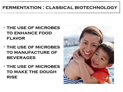 Example of a Classical Biotechnology Process 的图像结果