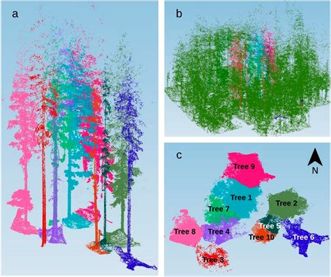 Comparison of Mature Douglas-Firs’ Crown Structures Developed with Two ...