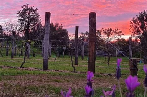 Sovrano Estate - Kerikeri | Tripadvisor