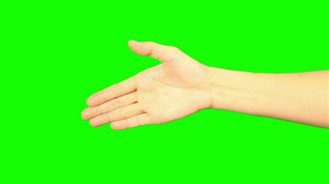 Camera Hand Greenscreen 的图像结果