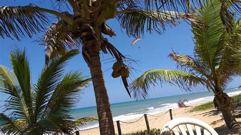 POUSADA ENTRE AS AGUAS (Imbassai, Bahia, Brazil) - Hostel Reviews ...