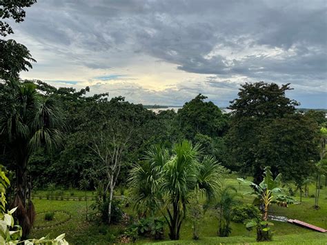 FLOWER OF LIFE AYAHUASCA HEALING CENTER (Iquitos) - Lodging Reviews ...