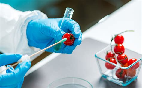 Image result for Food Contamination Examples