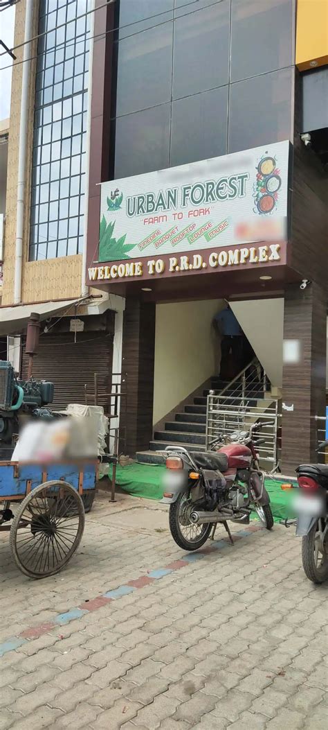 Urban Forest, Dhoomanganj, Allahabad | Zomato