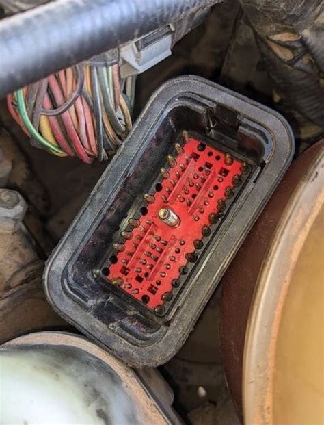 Image result for PCM Relay Fuse