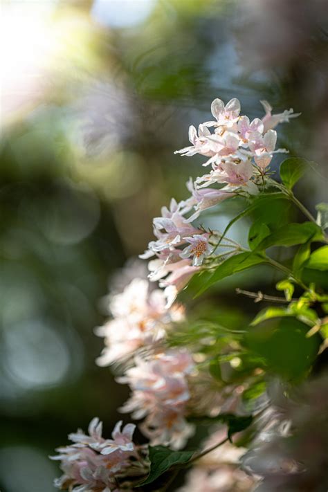 Graceful passages. An origin story | Meer