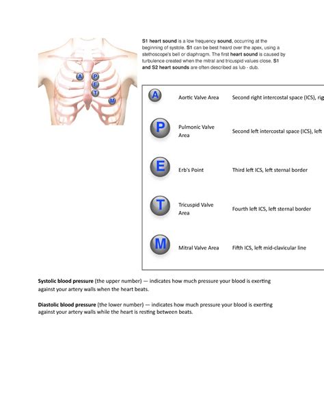 S1 heart sound - S1 heart sound is a low frequency sound, occurring at ...