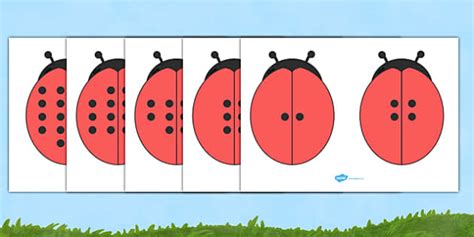 Double The Ladybird Spots Visual Aid