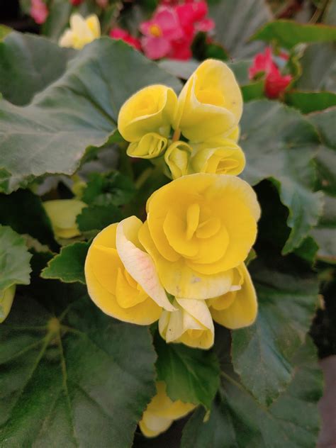 LONG BRANCH POULTRY FARM - Long Branch NJ - Hours, Directions, Reviews ...