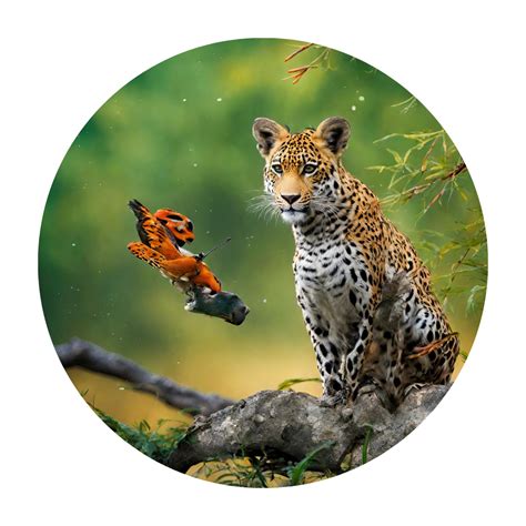 Holiday dream travel | 8285624833 | Holiday dream travel