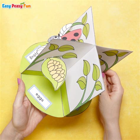 3D Ladybug Life Cycle Craft - Easy Peasy and Fun