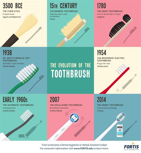 19th Century TOOTHBRUSH: Evolution, DESIGN & USE Revealed!