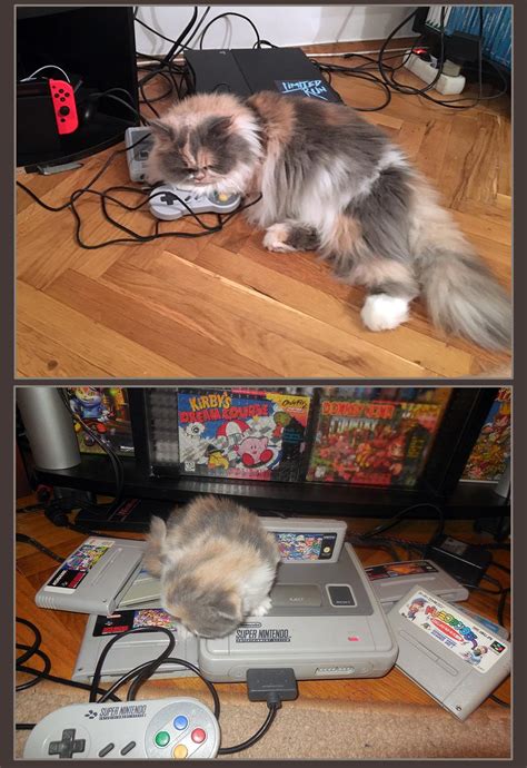 She grew up on the SNES