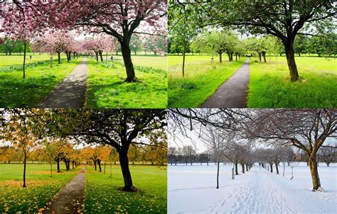 Image result for Spring Weather Meaning