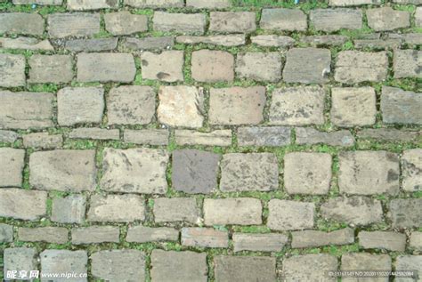 地面 的图像结果