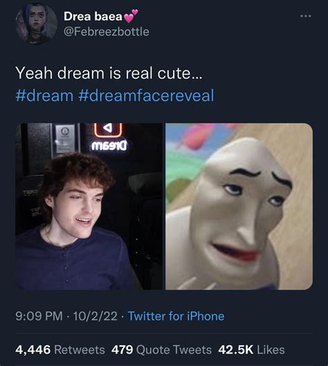 “Yeah dream is real cute…..” | Dream Face Reveal | Know Your Meme