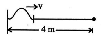 A wire is 4 m long and has a mass 0.2 kg. The wire is kept horizontally ...