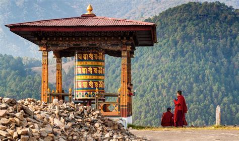 Image result for Bhutan Python Coders