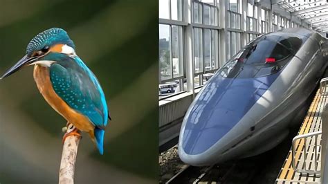 Image result for Biomimetics Examples