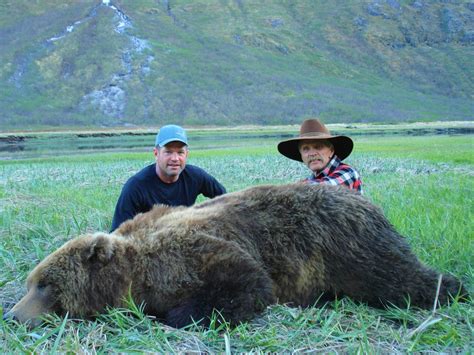 FALL BROWN BEAR - Rainy Pass Lodge