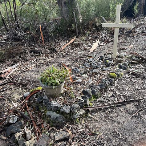 GRAVE OF KITTY CANE - All You Need to Know BEFORE You Go 2026 (with ...