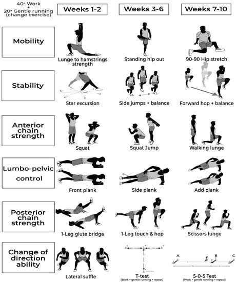 Biology | Special Issue : Biological Mechanisms Underlying Physical ...