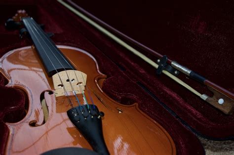 Image result for Classical String Instruments Orchestra