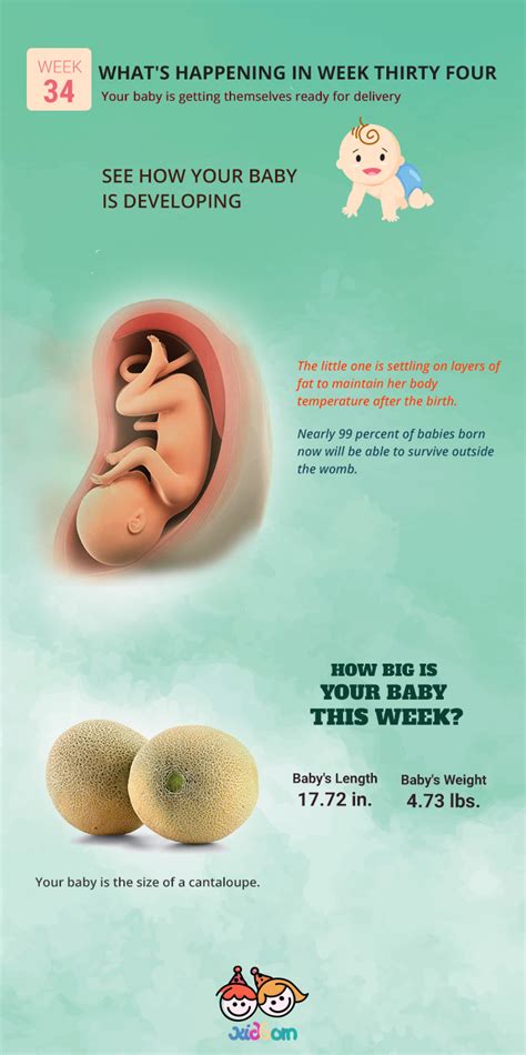 Pregnancy week 34 | Pregnancy changes week by week - Kidborn