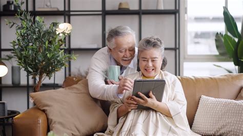 Image result for Sharing Ancestry Tree