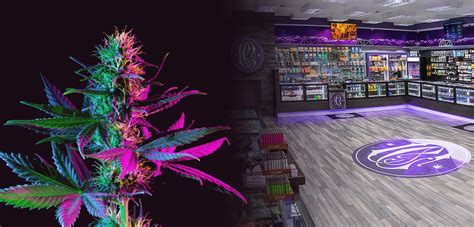 Weed Dispensary Menu Bremerton, WA | Clear Choice Cannabis