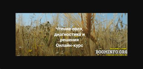 Курс [Елена Веселаго] [Институт открытого поля] Чтение поля ...