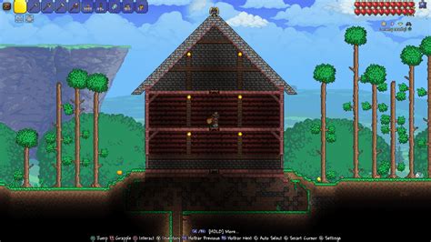 Image result for Terraria Build Tutorial